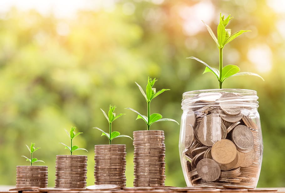 Coins stacked with green plant sprouting to symbolize economic growth