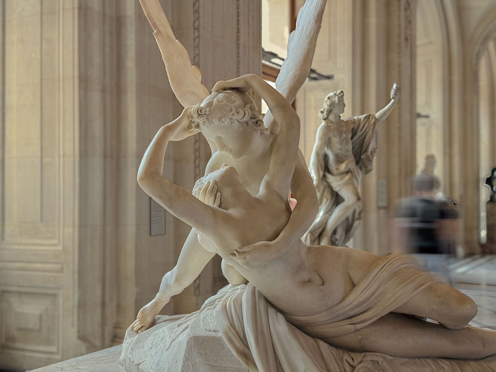 Cupid shares fall